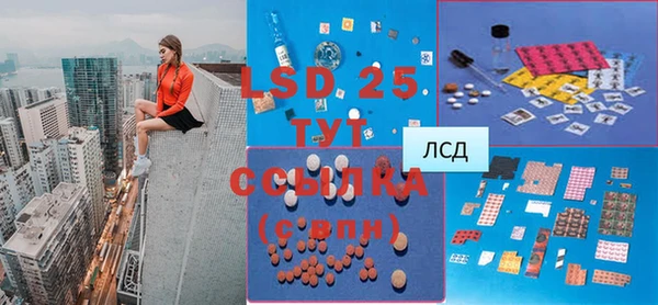 гашик Белокуриха