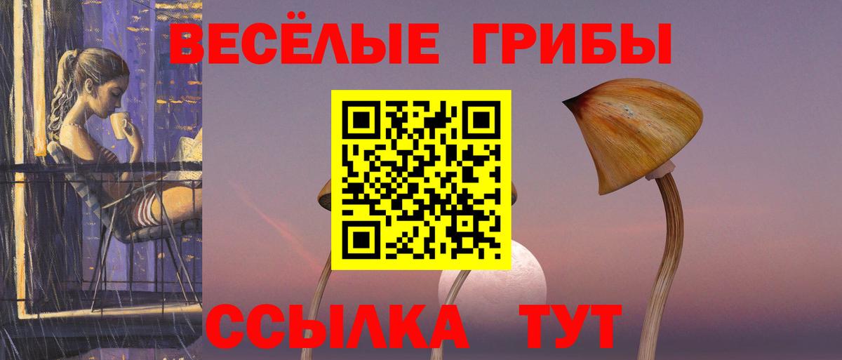 Галлюциногенные грибы мицелий  Вход с VPN  Бузулук 
